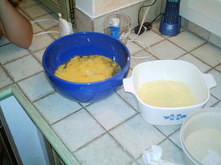 2004-08 Autruches 043.jpg